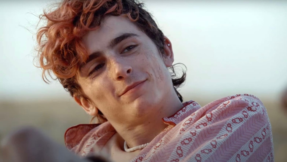 Bones and All movie review: Timothée Chalamet is catastrophically